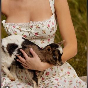 House of CB White Floral Midi Dress